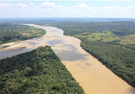  La Reina del Río Guaviare – Un Racconto di Mistero e Follia nella Foresta Colombiana