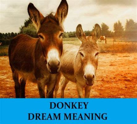  The Donkey Who Dreamed of Flying: Un racconto americano del VI secolo che sfida la gravità!